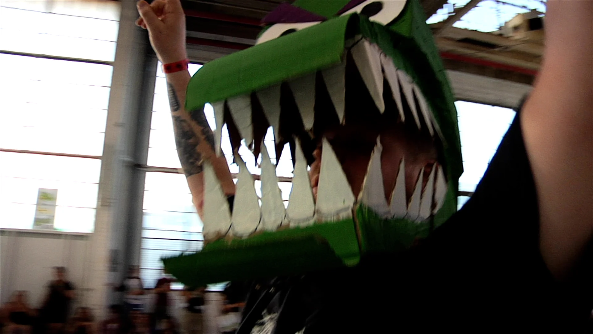 Thumbnail 9